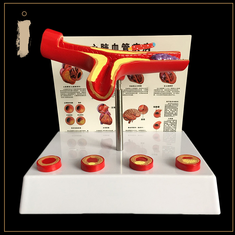 50 Kali Pembesaran Pembuluh Da - Medical Laboratory Science ulasan dan harga